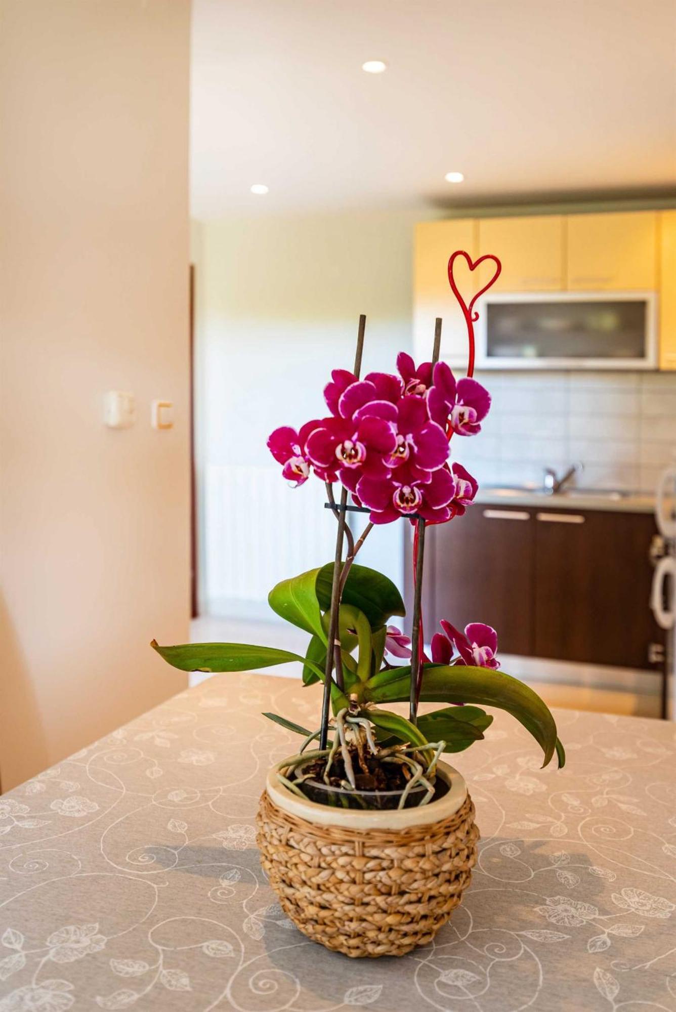 Apartment House Simoni With Pool, Zadar County Privlaka  Εξωτερικό φωτογραφία